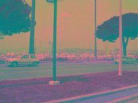 IMGP2739 edited (Medium)